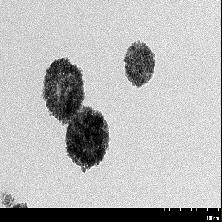 1693279716384730.jpg 介孔二氧化鈰.jpg